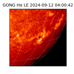 gong - 2024-09-12T04:00:42