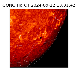 gong - 2024-09-12T13:01:42