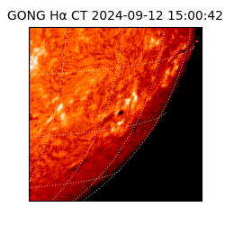 gong - 2024-09-12T15:00:42