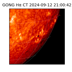 gong - 2024-09-12T21:00:42