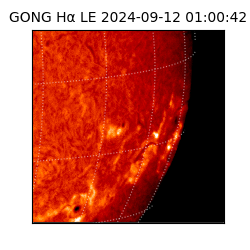 gong - 2024-09-12T01:00:42