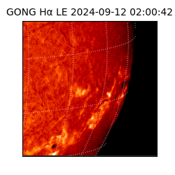 gong - 2024-09-12T02:00:42