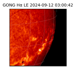 gong - 2024-09-12T03:00:42