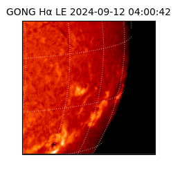 gong - 2024-09-12T04:00:42