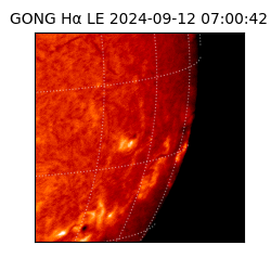 gong - 2024-09-12T07:00:42