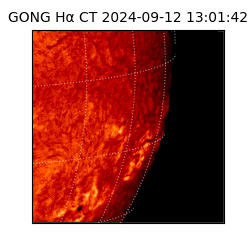 gong - 2024-09-12T13:01:42