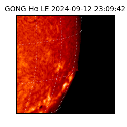 gong - 2024-09-12T23:09:42