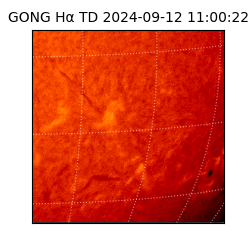 gong - 2024-09-12T11:00:22