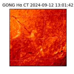 gong - 2024-09-12T13:01:42