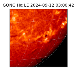 gong - 2024-09-12T03:00:42