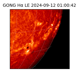 gong - 2024-09-12T01:00:42