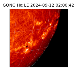 gong - 2024-09-12T02:00:42