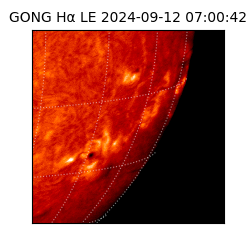 gong - 2024-09-12T07:00:42