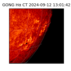 gong - 2024-09-12T13:01:42