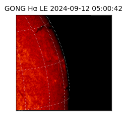 gong - 2024-09-12T05:00:42