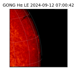 gong - 2024-09-12T07:00:42