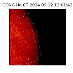 gong - 2024-09-12T13:01:42