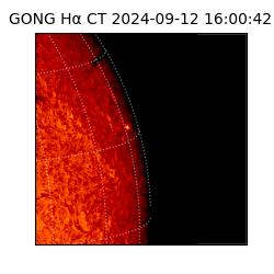 gong - 2024-09-12T16:00:42