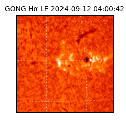 gong - 2024-09-12T04:00:42