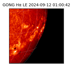 gong - 2024-09-12T01:00:42