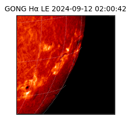 gong - 2024-09-12T02:00:42