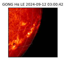 gong - 2024-09-12T03:00:42