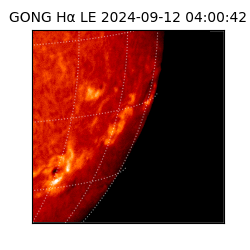 gong - 2024-09-12T04:00:42