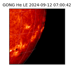 gong - 2024-09-12T07:00:42