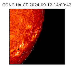 gong - 2024-09-12T14:00:42