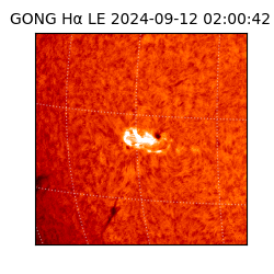 gong - 2024-09-12T02:00:42