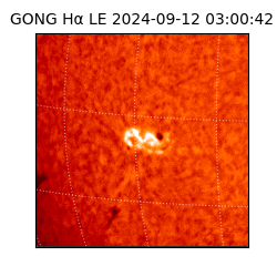 gong - 2024-09-12T03:00:42