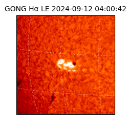 gong - 2024-09-12T04:00:42