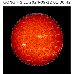 gong - 2024-09-12T01:00:42