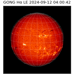gong - 2024-09-12T04:00:42