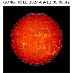 gong - 2024-09-12T05:00:42