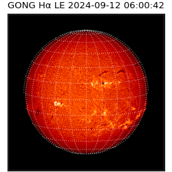 gong - 2024-09-12T06:00:42