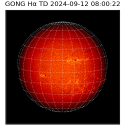 gong - 2024-09-12T08:00:22