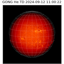 gong - 2024-09-12T11:00:22