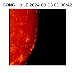 gong - 2024-09-13T01:00:42