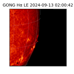 gong - 2024-09-13T02:00:42