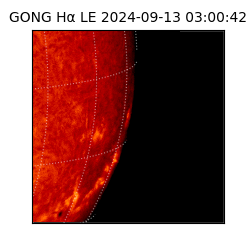 gong - 2024-09-13T03:00:42