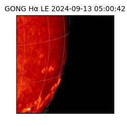 gong - 2024-09-13T05:00:42