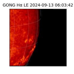 gong - 2024-09-13T06:03:42