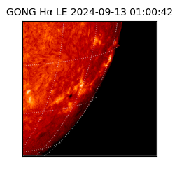 gong - 2024-09-13T01:00:42