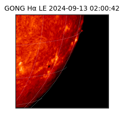 gong - 2024-09-13T02:00:42