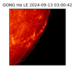 gong - 2024-09-13T03:00:42