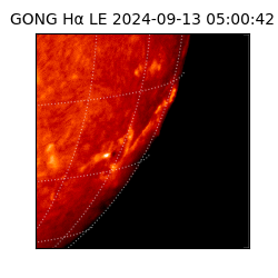 gong - 2024-09-13T05:00:42