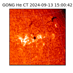 gong - 2024-09-13T15:00:42