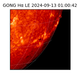 gong - 2024-09-13T01:00:42