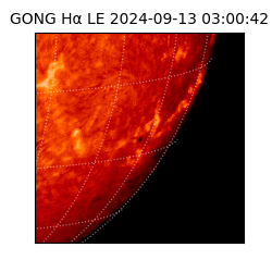 gong - 2024-09-13T03:00:42